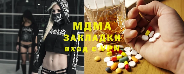индика Гусь-Хрустальный