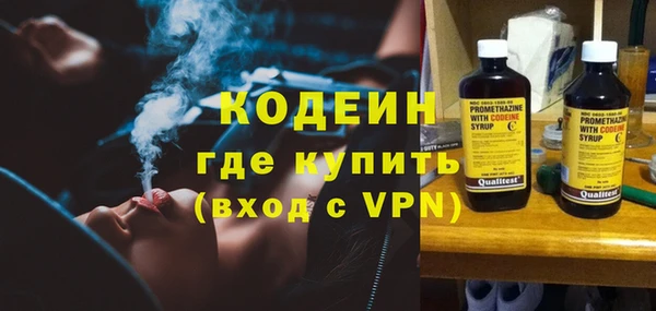 индика Гусь-Хрустальный