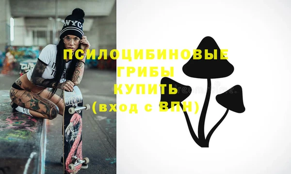 индика Гусь-Хрустальный