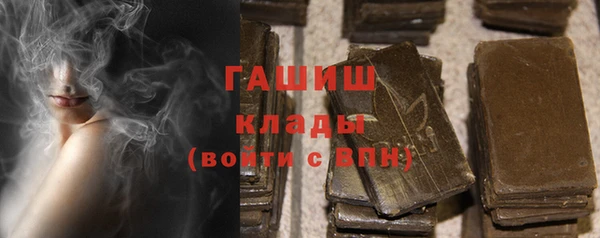 индика Гусь-Хрустальный