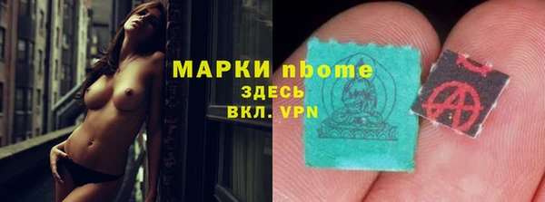 индика Гусь-Хрустальный
