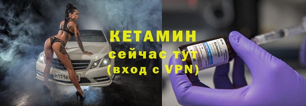 амф Гусев