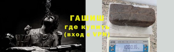 индика Гусь-Хрустальный
