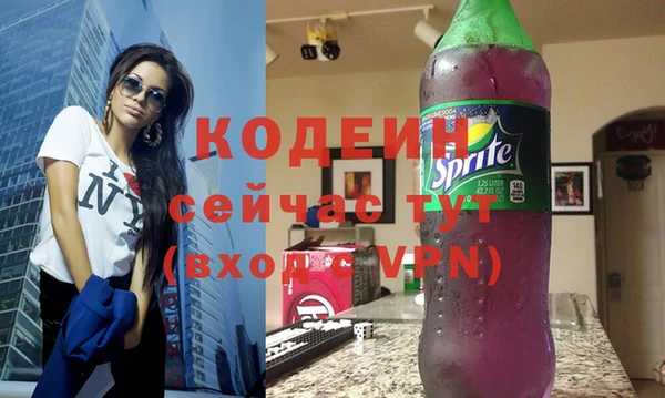 индика Гусь-Хрустальный