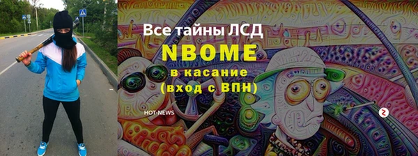 амф Гусев