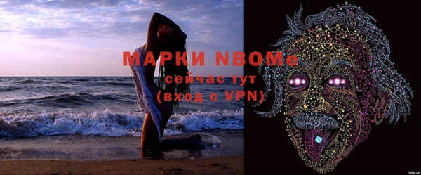 амф Гусев