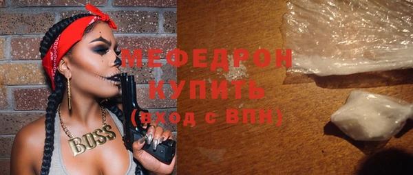 индика Гусь-Хрустальный