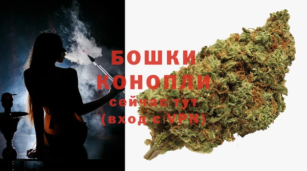 амф Гусев