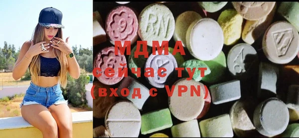 амф Гусев