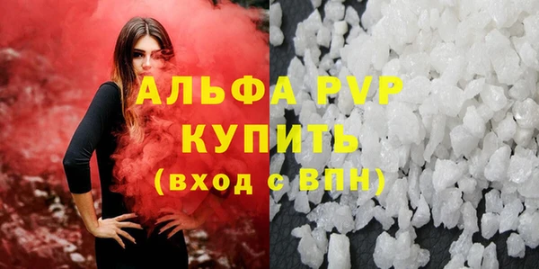 индика Гусь-Хрустальный