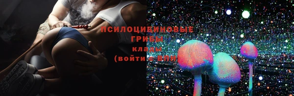 индика Гусь-Хрустальный