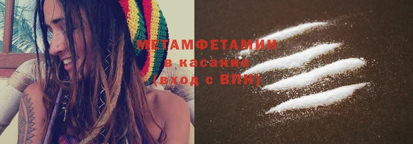 индика Гусь-Хрустальный