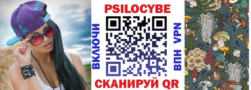 где купить Дегтярск Псилоцибиновые грибы Psilocybe