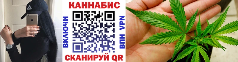 где купить   Дегтярск  Канабис конопля 